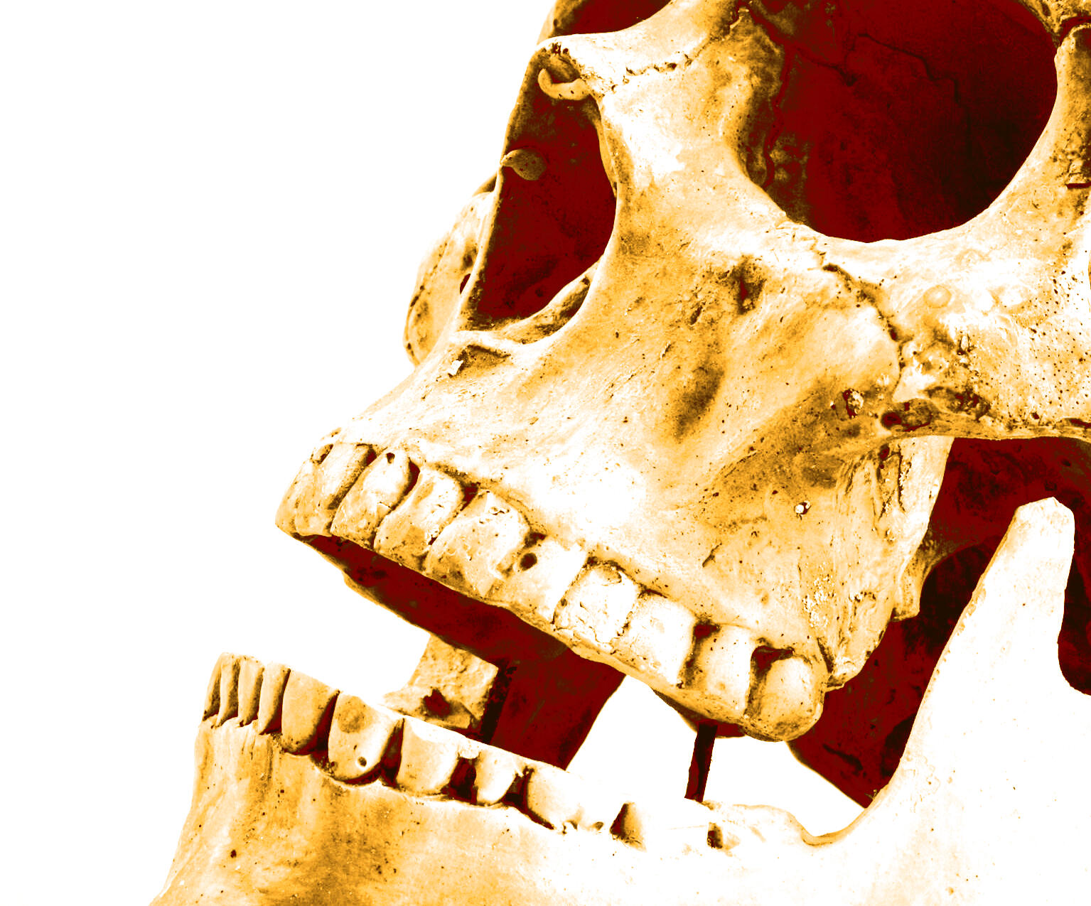 A pink-toned image of a wall of security cameras. Five white stars above white text reading "Great SCP Content, Even Better Podcast: FUA makes learning about the SCP universe accessible while also having hilarious and lovable characters, an investing plot